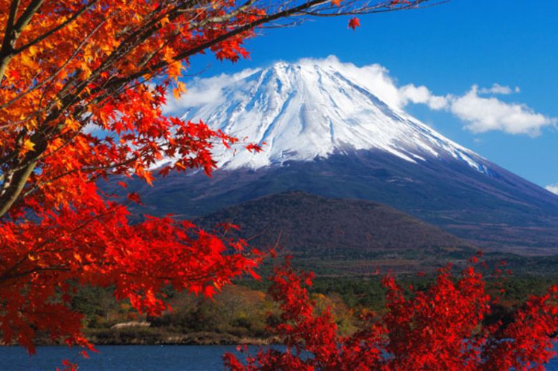 Immerse yourself in the peaceful atmosphere of autumn in Japan